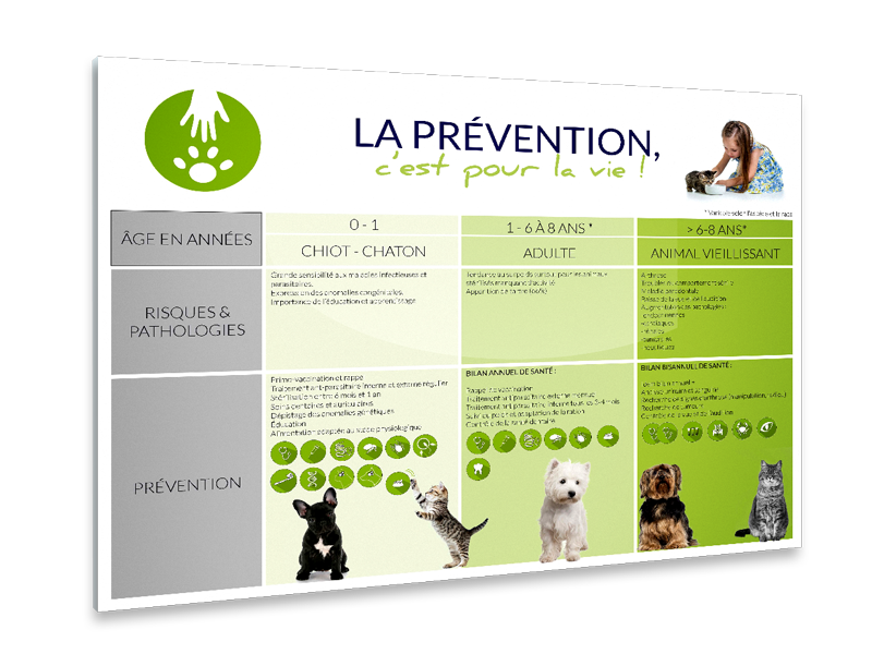 communication-print-clinique-veterinaire