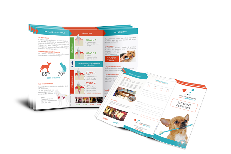 dépliant-brochure-communication-veterinaire